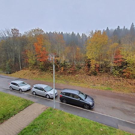 2 Rooms Apartment In Triberg Triberg im Schwarzwald Εξωτερικό φωτογραφία