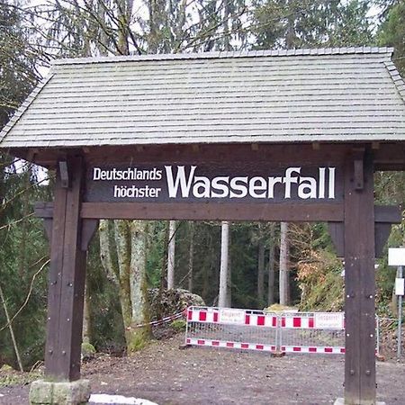 2 Rooms Apartment In Triberg Triberg im Schwarzwald Εξωτερικό φωτογραφία