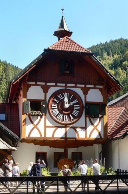 2 Rooms Apartment In Triberg Triberg im Schwarzwald Εξωτερικό φωτογραφία